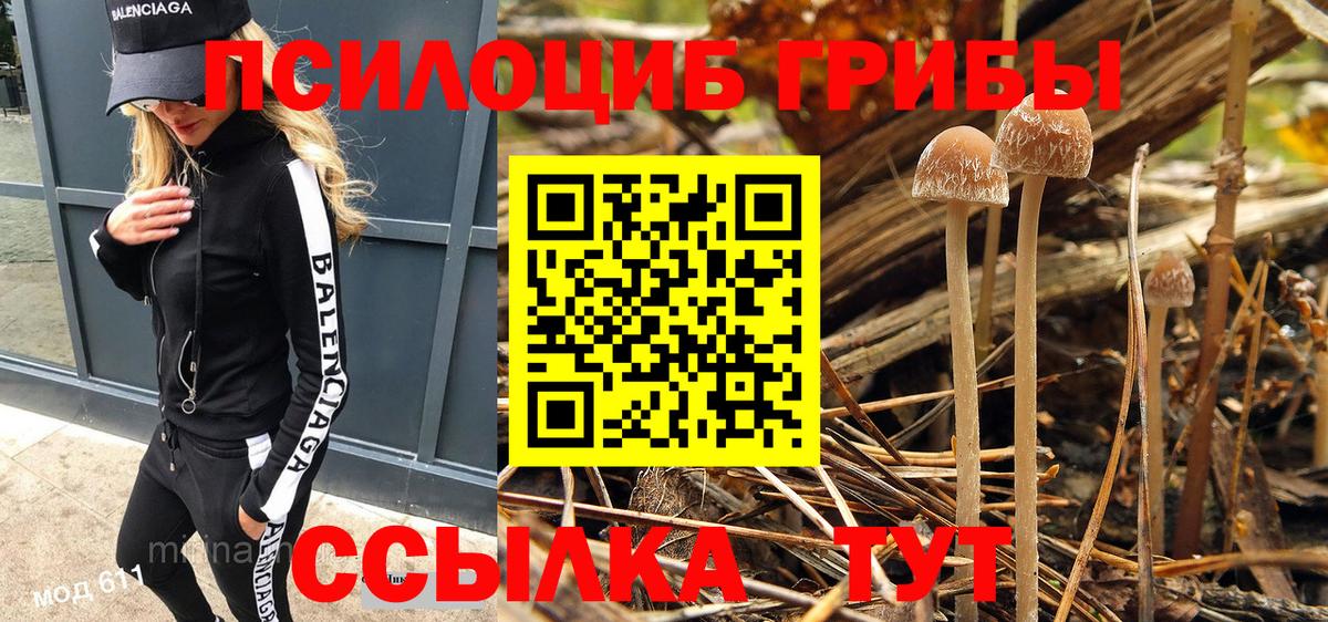 Псилоцибиновые грибы Psilocybine cubensis  Вход с VPN  Большой Камень  Галлюциногенные грибы Cubensis 