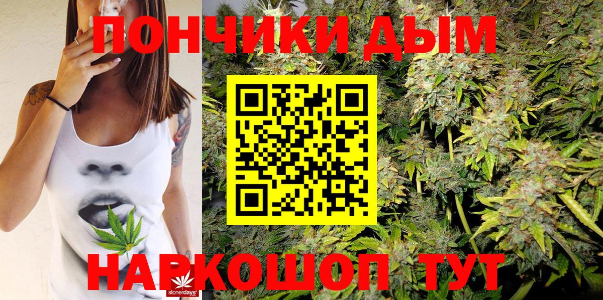 Бошки марихуана ГИДРОПОН  Марихуана SATIVA & INDICA  Каннабис VHQ  Вход с VPN  Большой Камень 