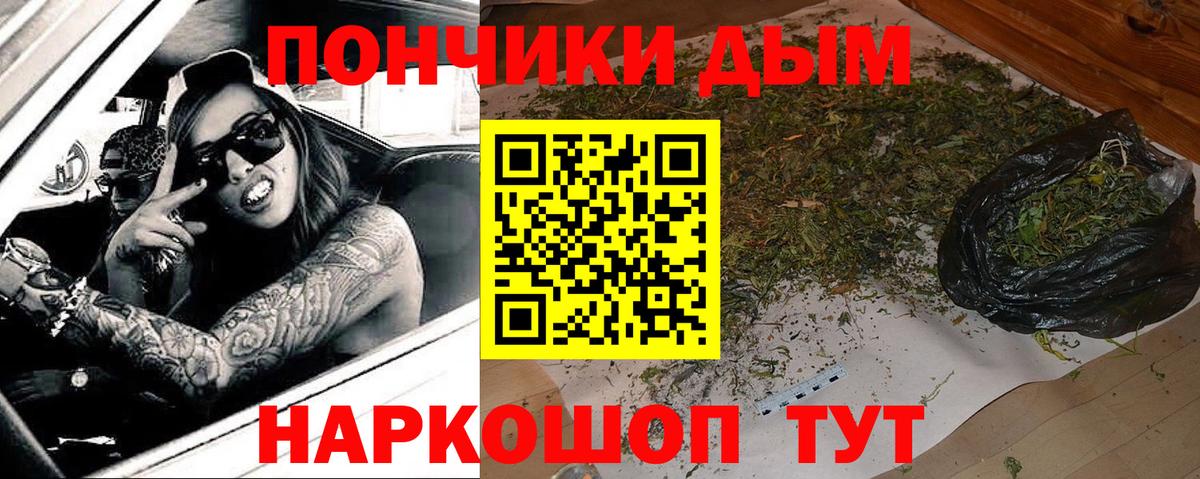 Шишки марихуана гибрид Большой Камень